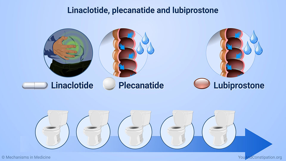 Linaclotide, plecanatide and lubiprostone