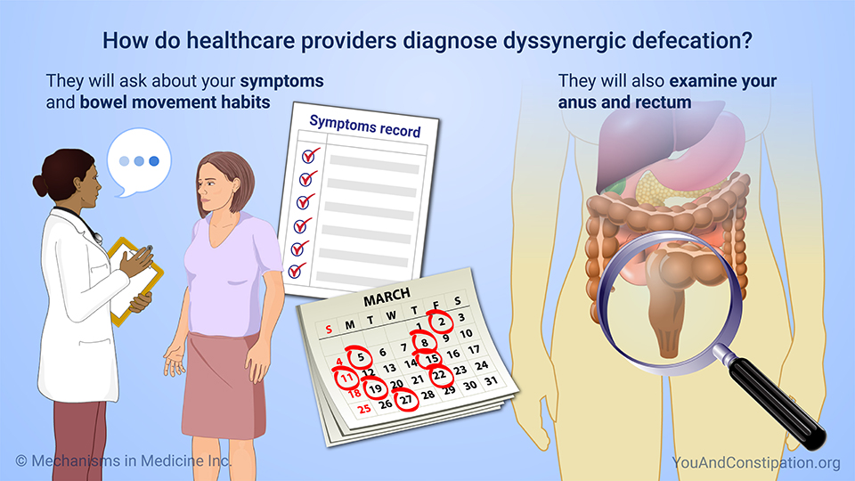 How do healthcare providers diagnose dyssynergic defecation?